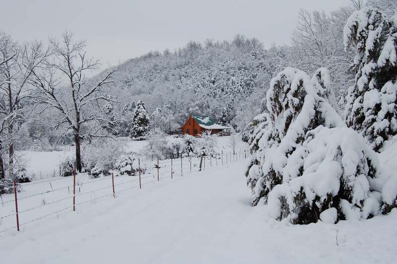 St. Joe/Tyler Bend, Arkansas