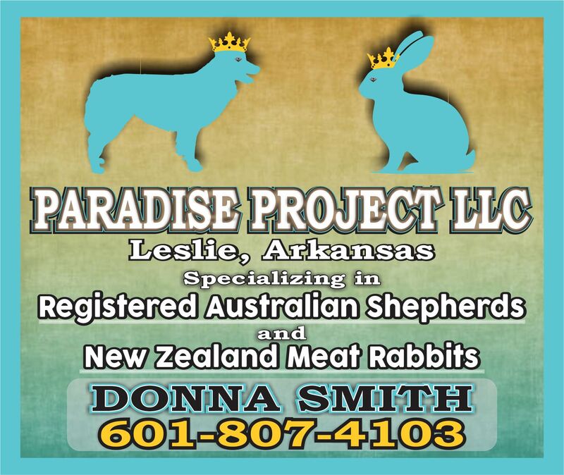 Paradise Project LLC