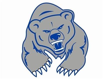 Ozark Mountain School District