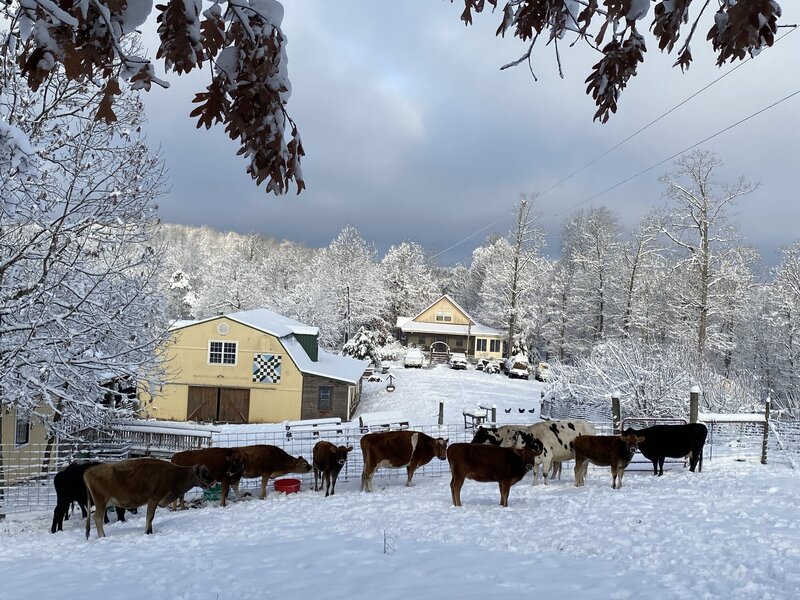 Harriet/Big Flat, Arkansas