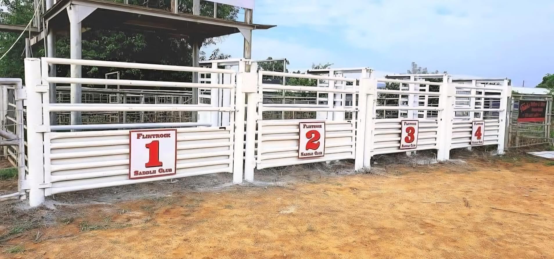 Western Horse Heritage Foundation