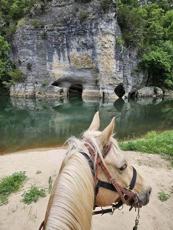Horseback Riding