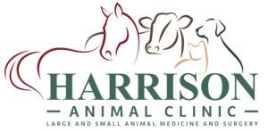 Harrison Animal Clinic